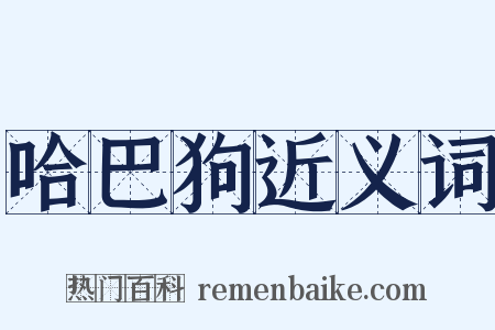 哈巴狗近义词是什么意思的图片